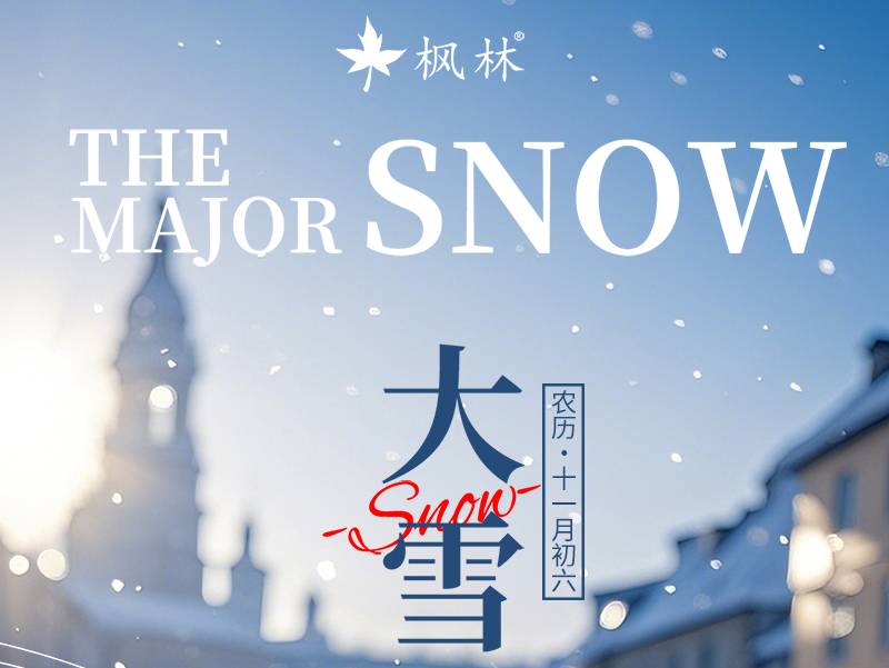 大雪纷飞时，温暖祝福至！愿君心如意，岁岁皆甜蜜丨枫林科技